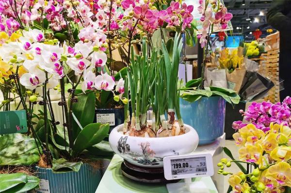 长宁商圈年味浓，礼品花卉迎春俏销红火