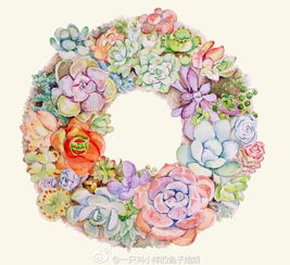 多肉植物花环 精致礼品花卉的新风尚